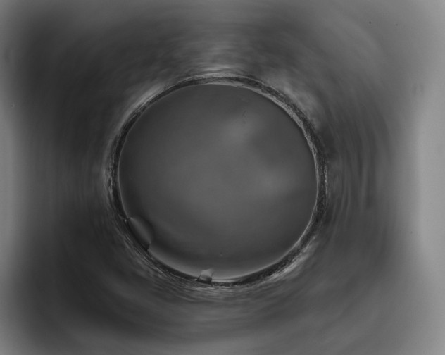 X0000093471405200710121416