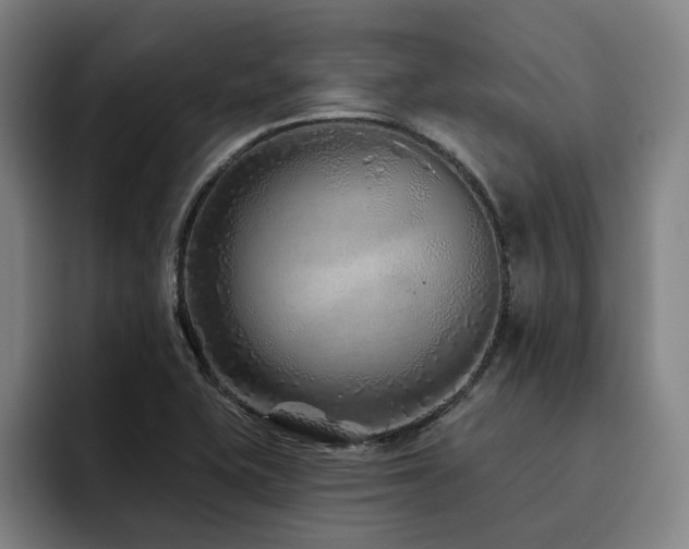 X0000093471415200710121416
