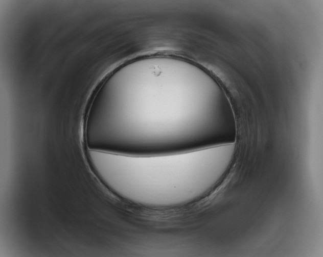 X0000093471420200710121416