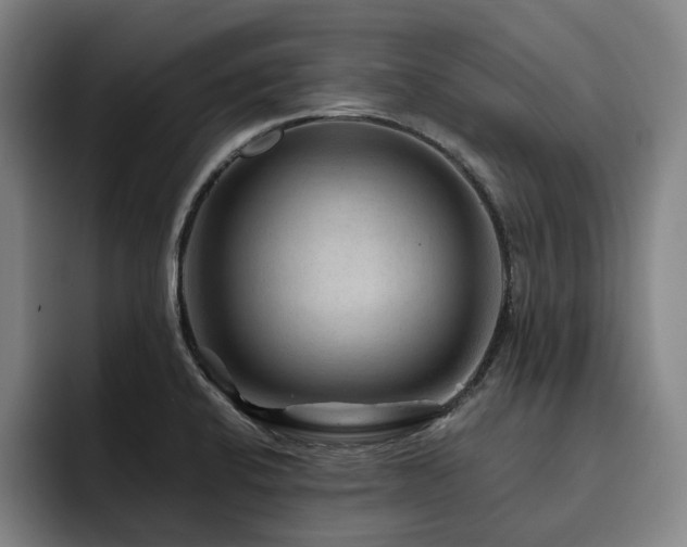 X0000093471424200710121416