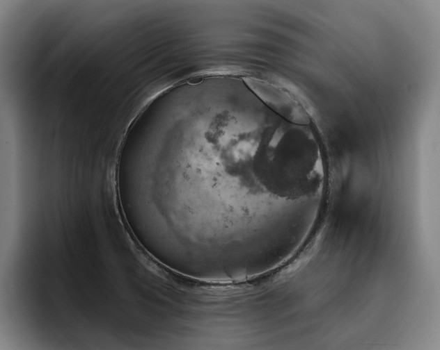 X0000093471425200710121416