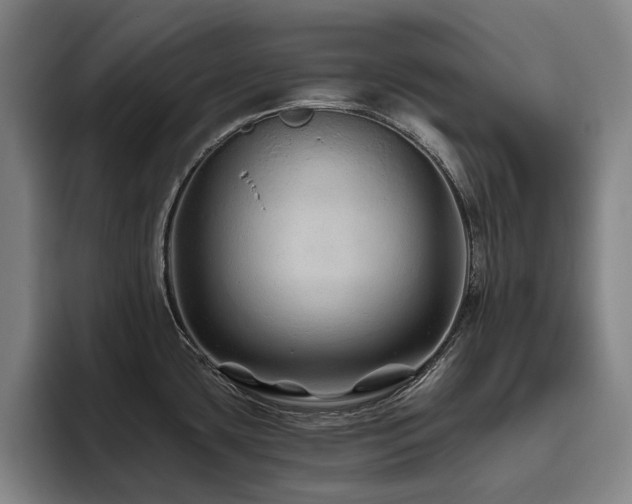 X0000093471435200710121417
