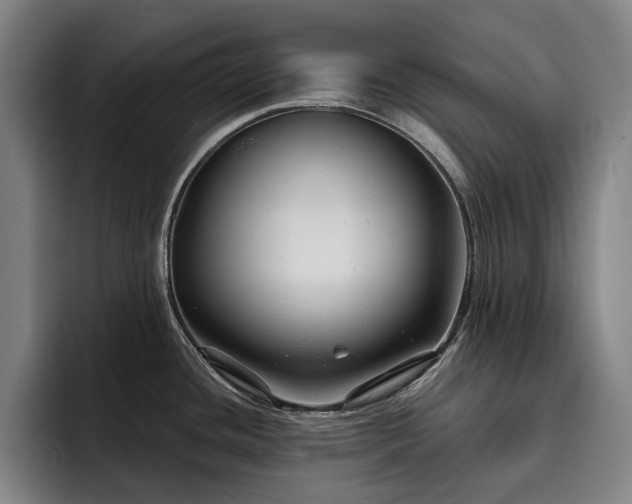 X0000093471436200710121417