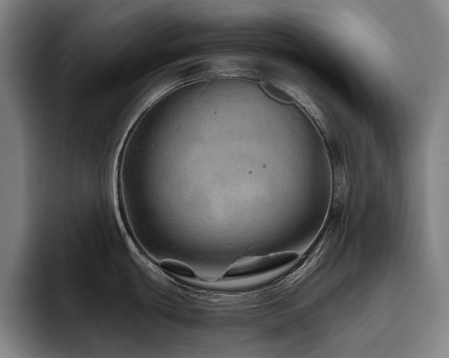 X0000093471439200710121417