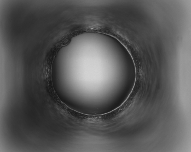 X0000093471447200710121416
