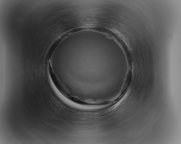 X0000093471449200710121416