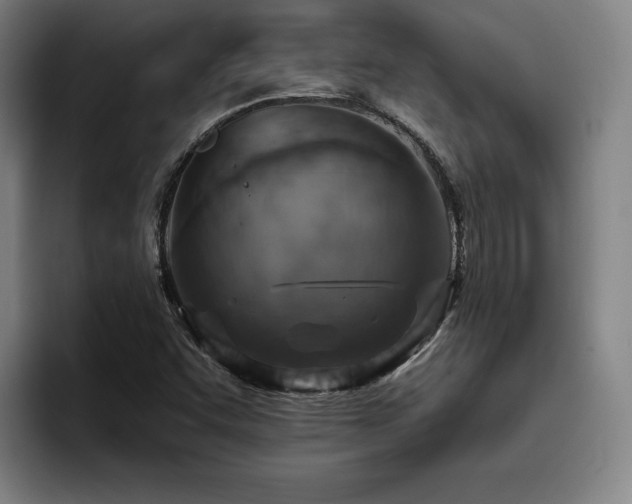 X0000093471455200710121416