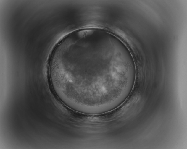 X0000093471463200710121416