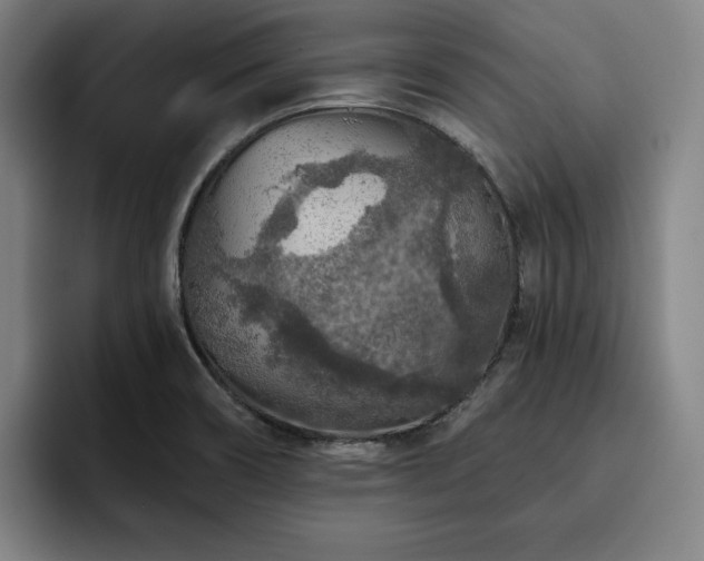 X0000093471466200710121416