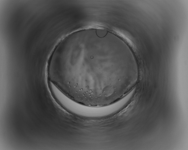 X0000093471471200710121416