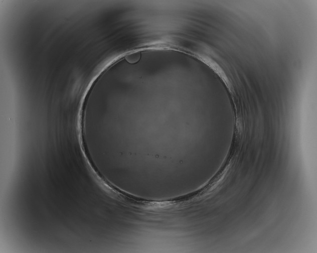 X0000093471482200710121416