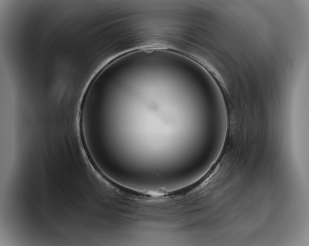 X0000093471484200710121416