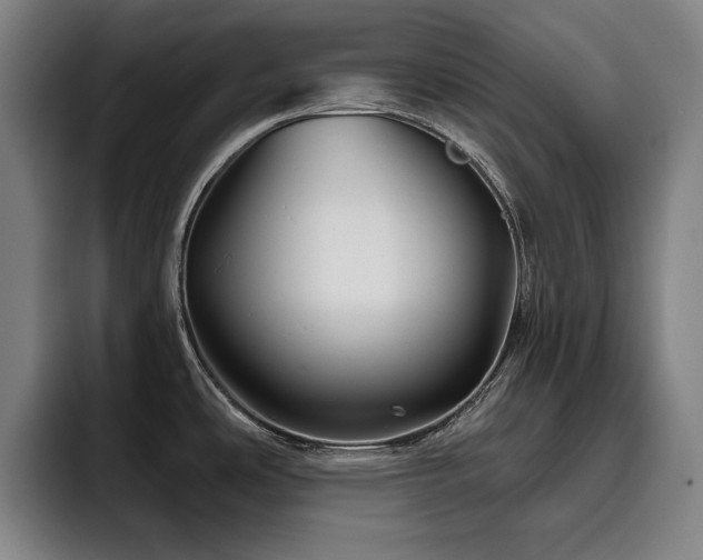 X0000093471486200710121416