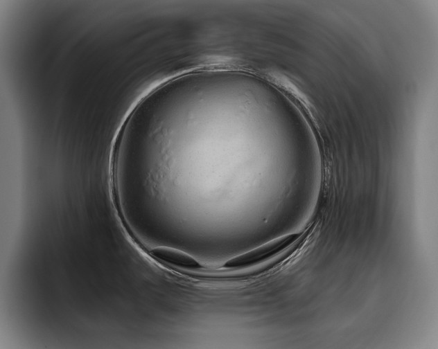 X0000093471487200710121416