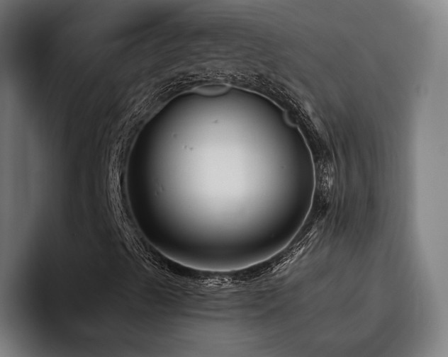 X0000093471489200710121415
