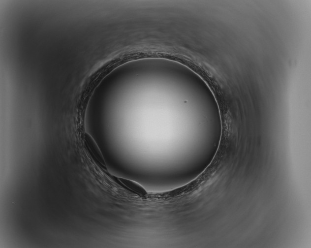 X0000093471494200710121415