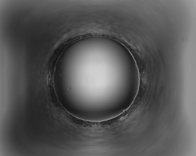 X0000093471495200710121415