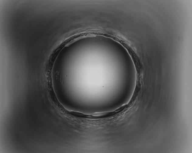 X0000093471496200710121415