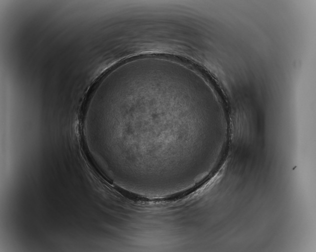 X0000093471497200710121415