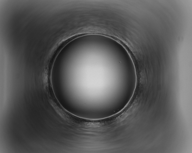 X0000093471499200710121415