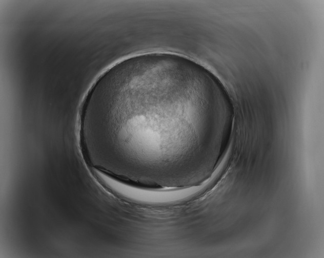 X0000093471508200710121415