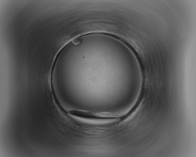 X0000093471513200710121415