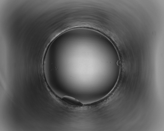 X0000093471521200710121415