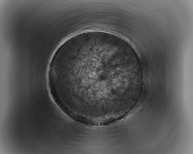 X0000093471522200710121415