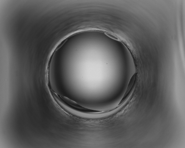 X0000093471524200710121415