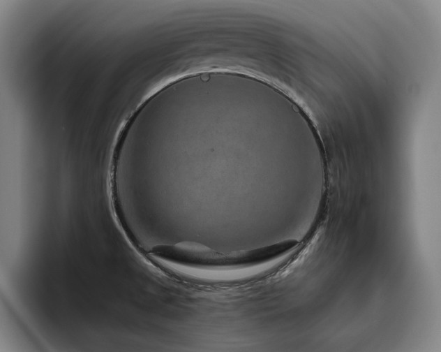 X0000093471525200710121415