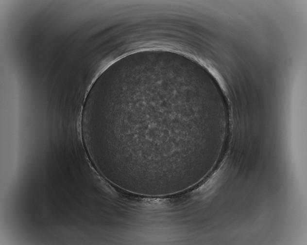 X0000093471529200710121415