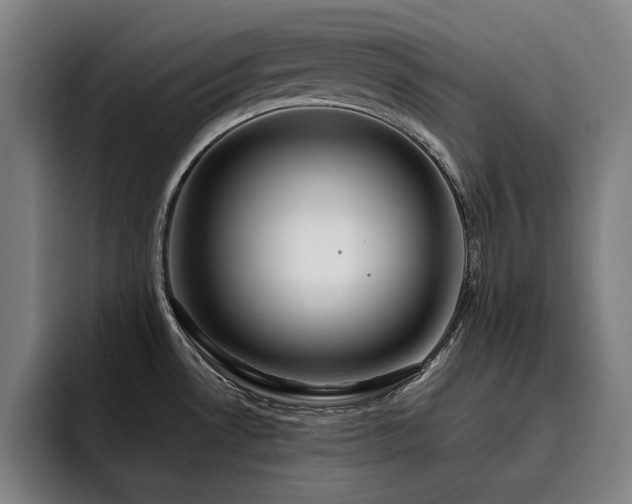 X0000093471530200710121415