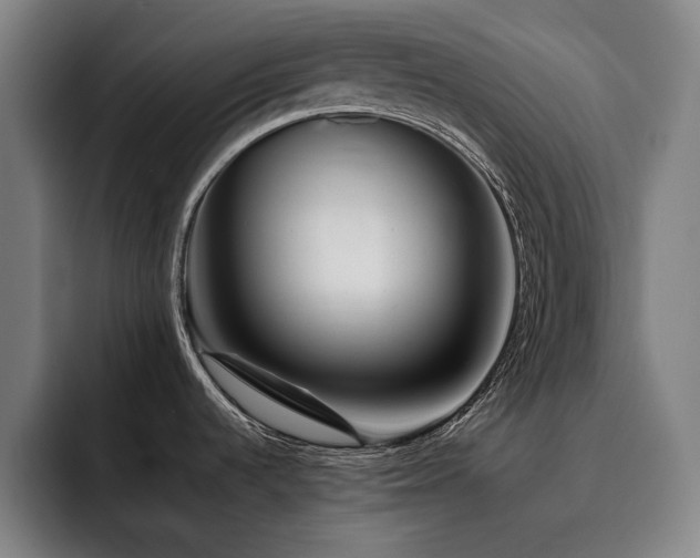 X0000093471536200710121416