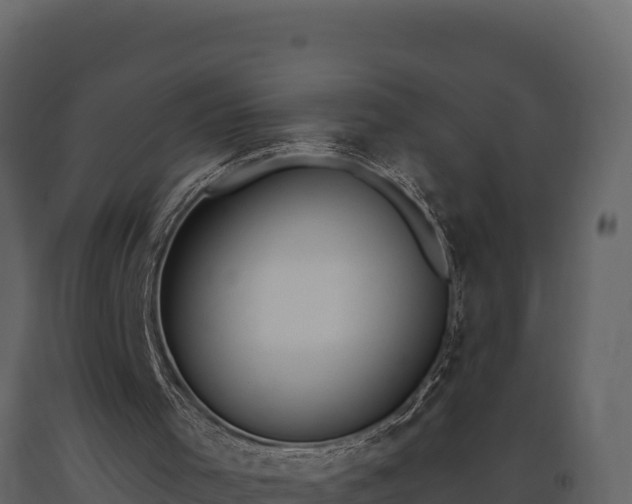 X0000093470001200710191155