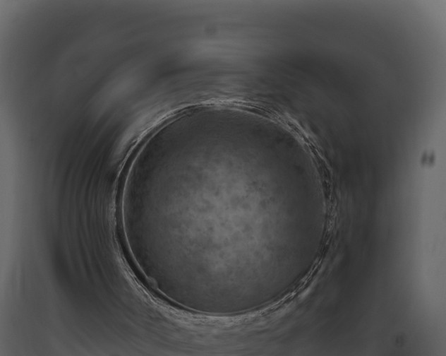 X0000093470002200710191155