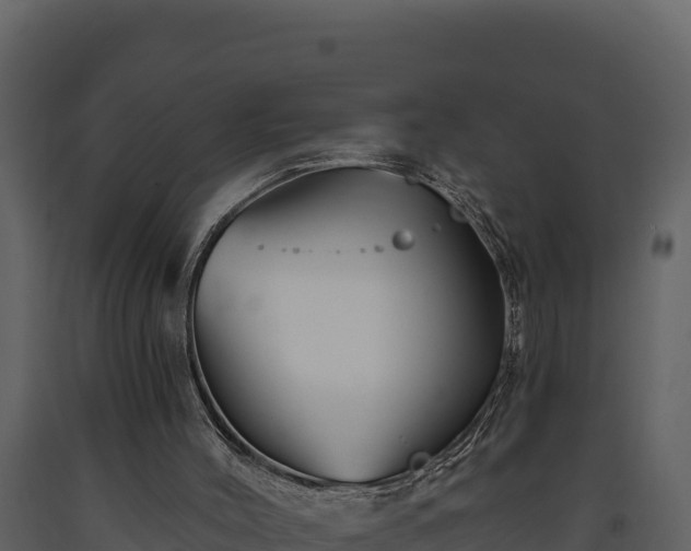 X0000093470004200710191155