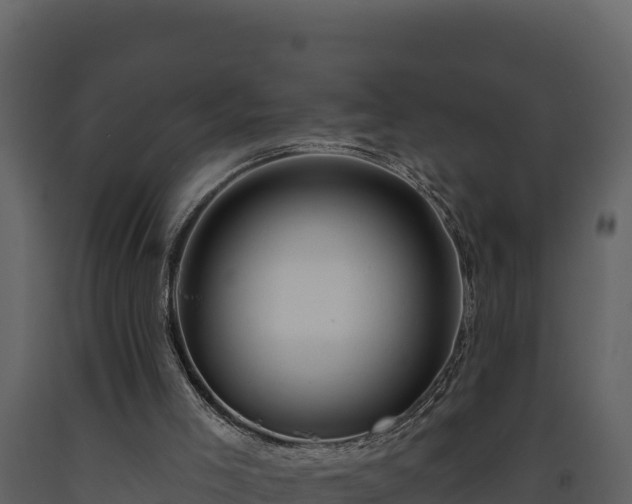 X0000093470005200710191155