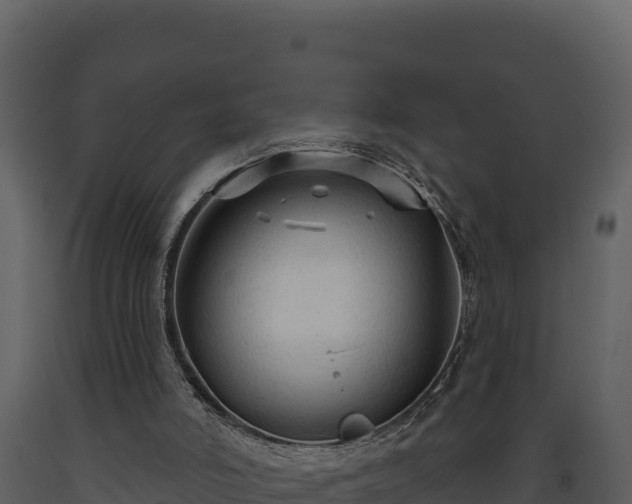 X0000093470006200710191155