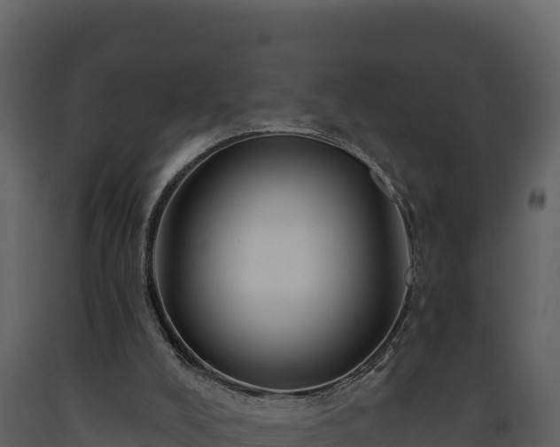 X0000093470008200710191155