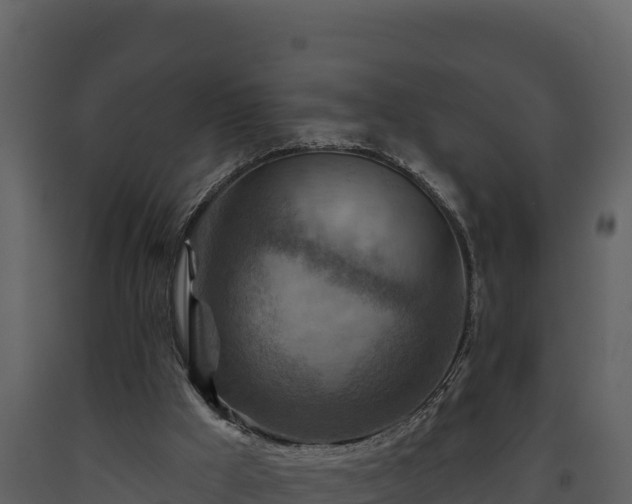 X0000093470009200710191155