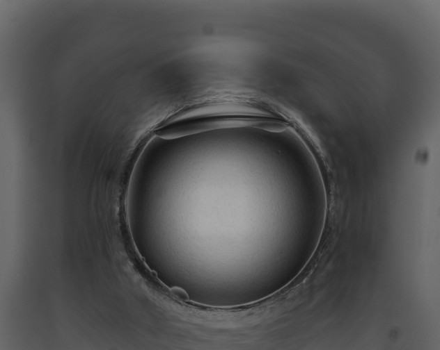 X0000093470010200710191155