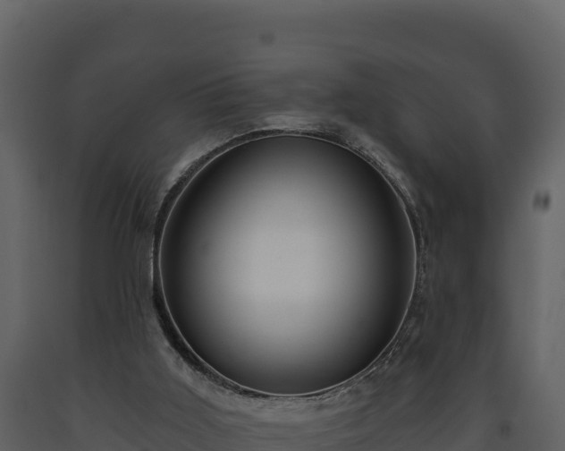 X0000093470011200710191155