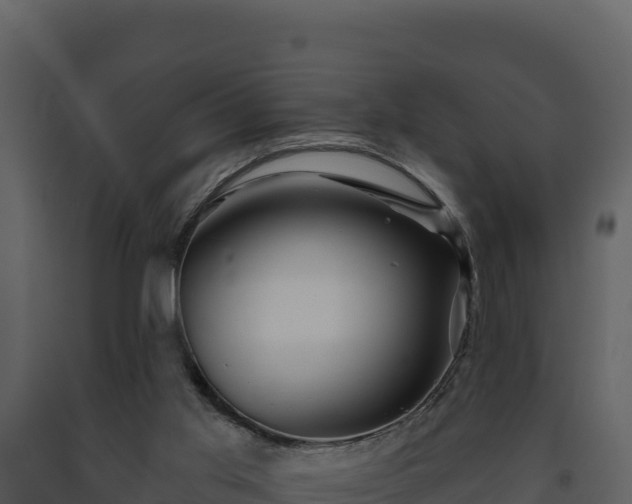 X0000093470013200710191155