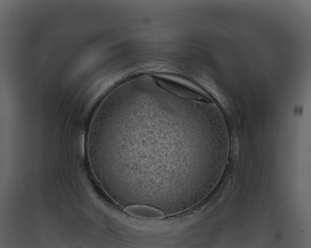 X0000093470014200710191155