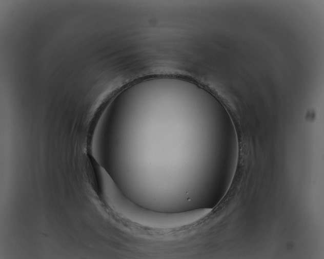 X0000093470015200710191155