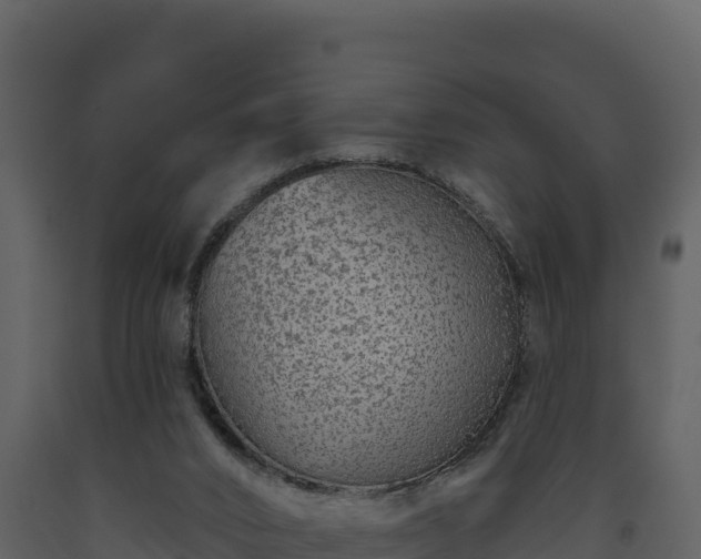 X0000093470016200710191155