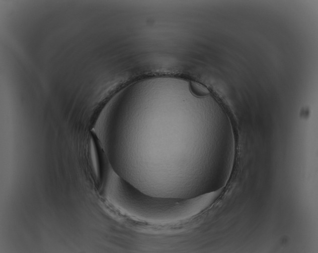 X0000093470017200710191155