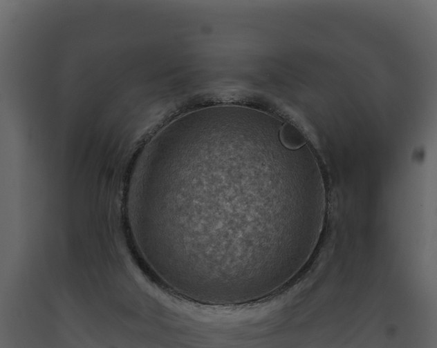 X0000093470018200710191155