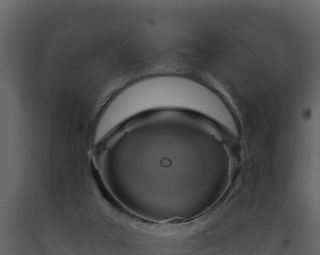 X0000093470019200710191155