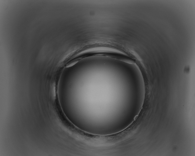 X0000093470020200710191155